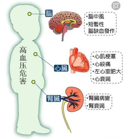 高血压的危害